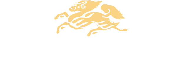 晴れ風ACTIONとは